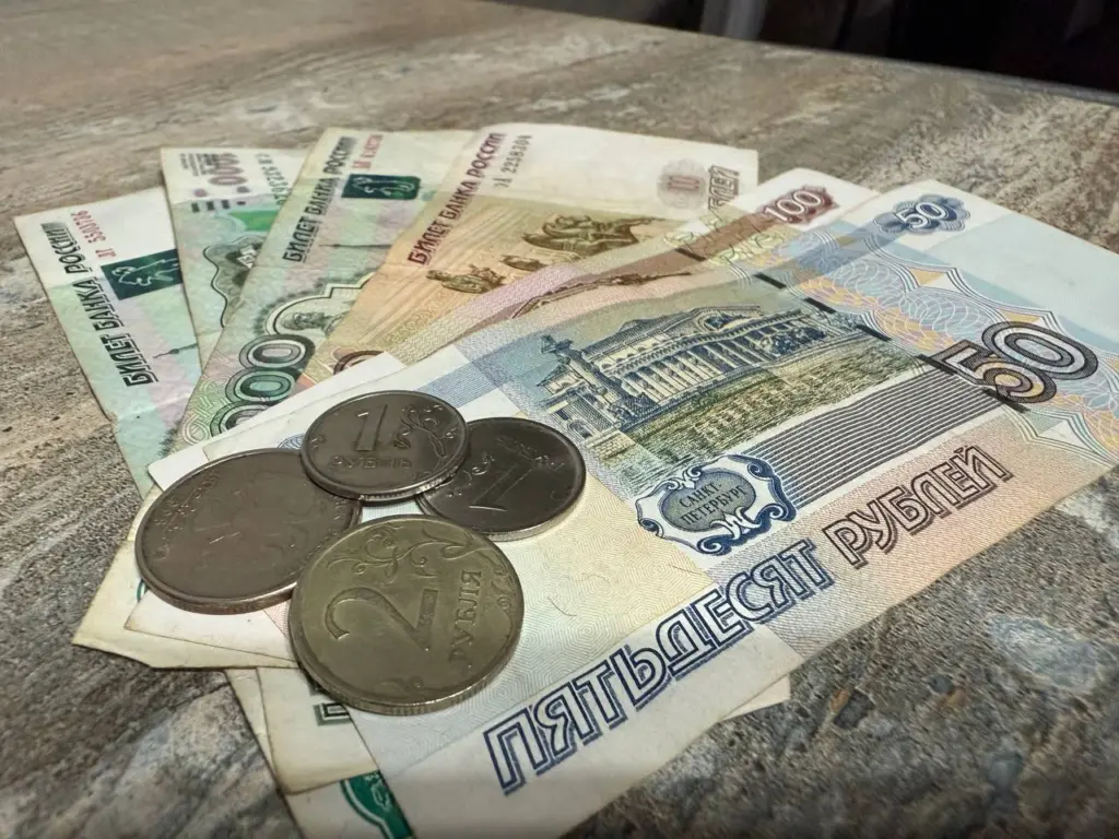 Не стоит полагаться на «безнал». Жителям России рассказали, сколько наличных нужно иметь при себе