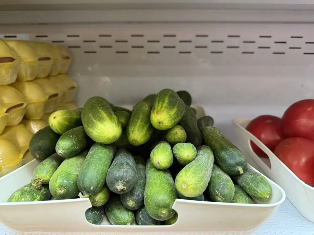 До 30 кг с 1 куста: 3 топовых сорта огурцов — растут даже на Севере, плодоносят вплоть до заморозков