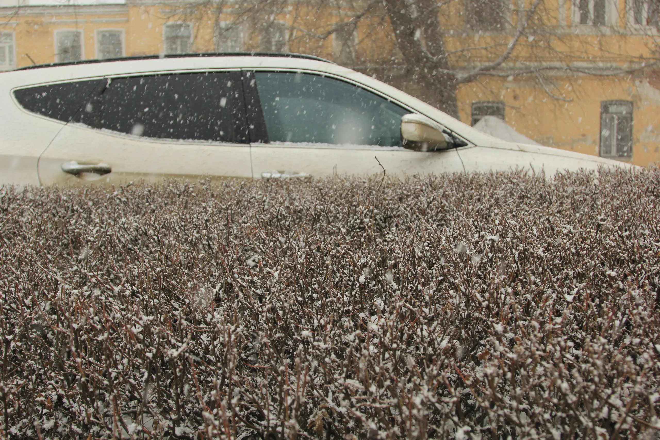 Гололед и мокрый снег ожидаются в Самарской области 8 декабря