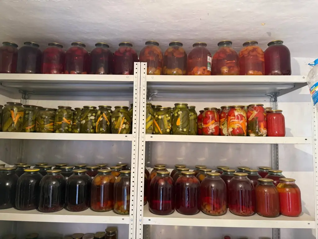 Ставлю ведро в угол — и в подвале сухо, как в «Сахаре»: без плесени, влажности и гнилья всю зиму