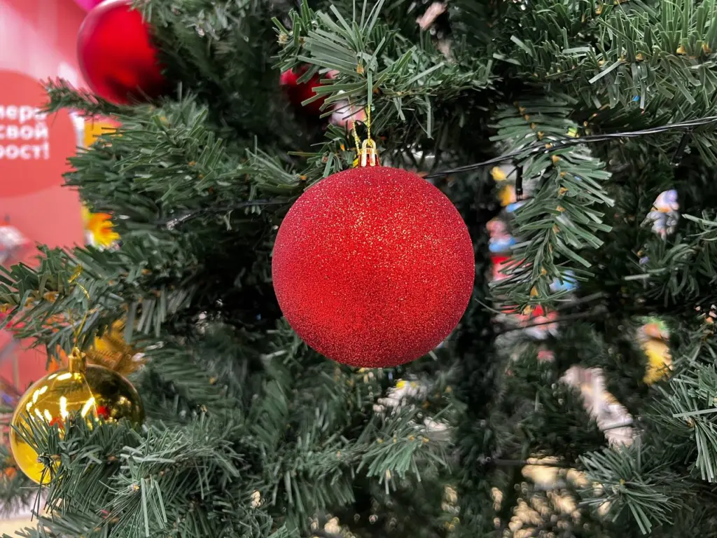 Каникулы перенесли из-за обстановке в стране: новогодние выходные 2025-2026 изменяется и не будут, как раньше