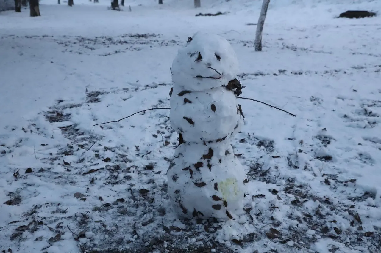 Фоторепортаж: в Самару 12 декабря пришел первый снег