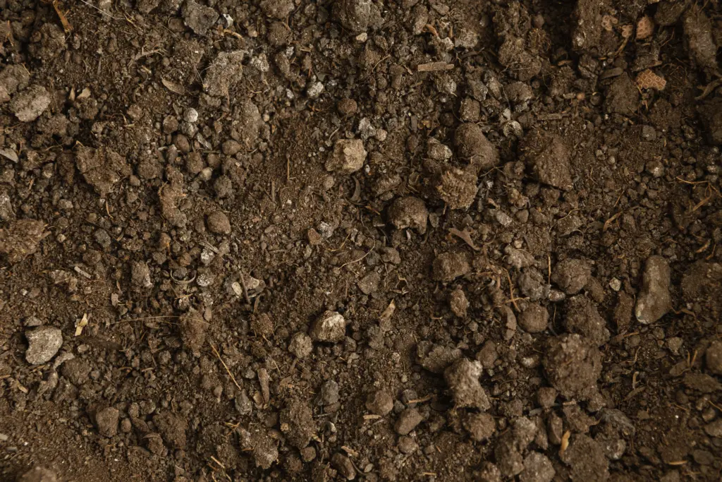 Определяю кислотность почвы запросто и без приборов — простой трюк с листьями