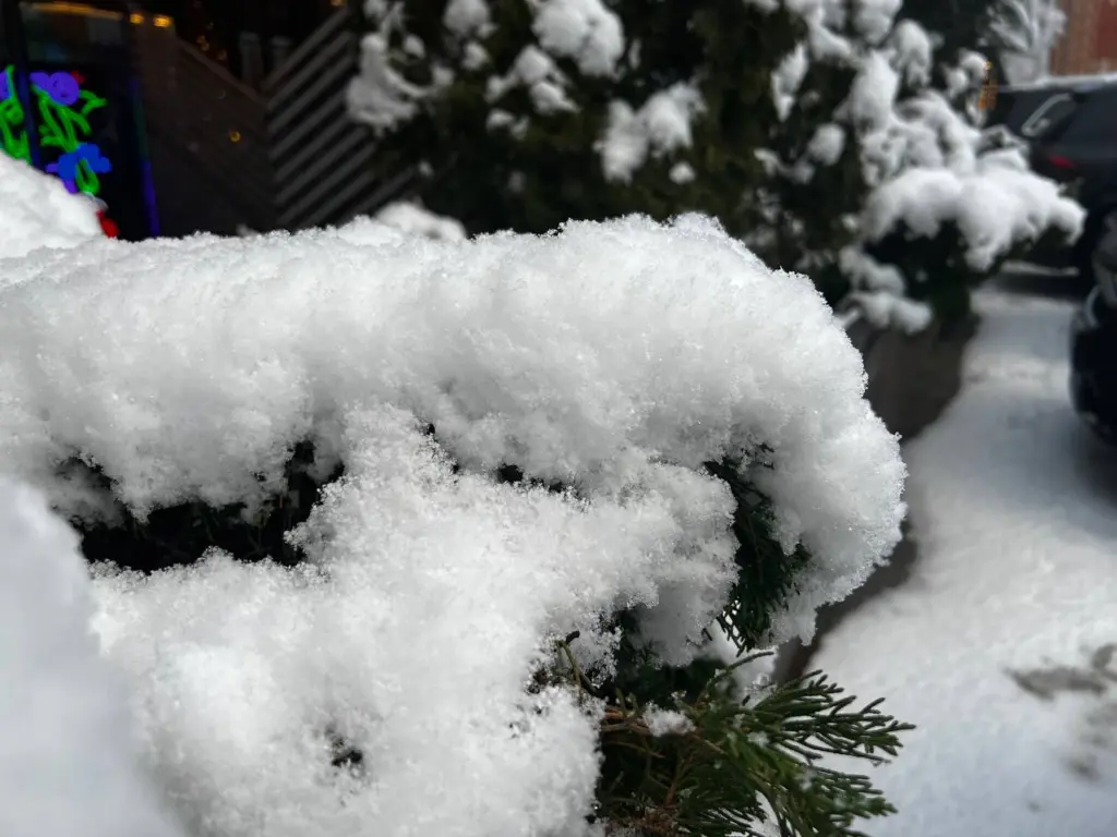 Синоптик Вильфанд рассказал россиянам, когда придет настоящая зима