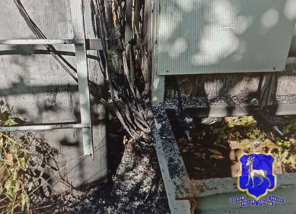 Двух жителей Самарской области обвиняют в теракте из-за поджога станции связи Двух жителей Самарской области обвиняют в теракте из-за поджога станции связи