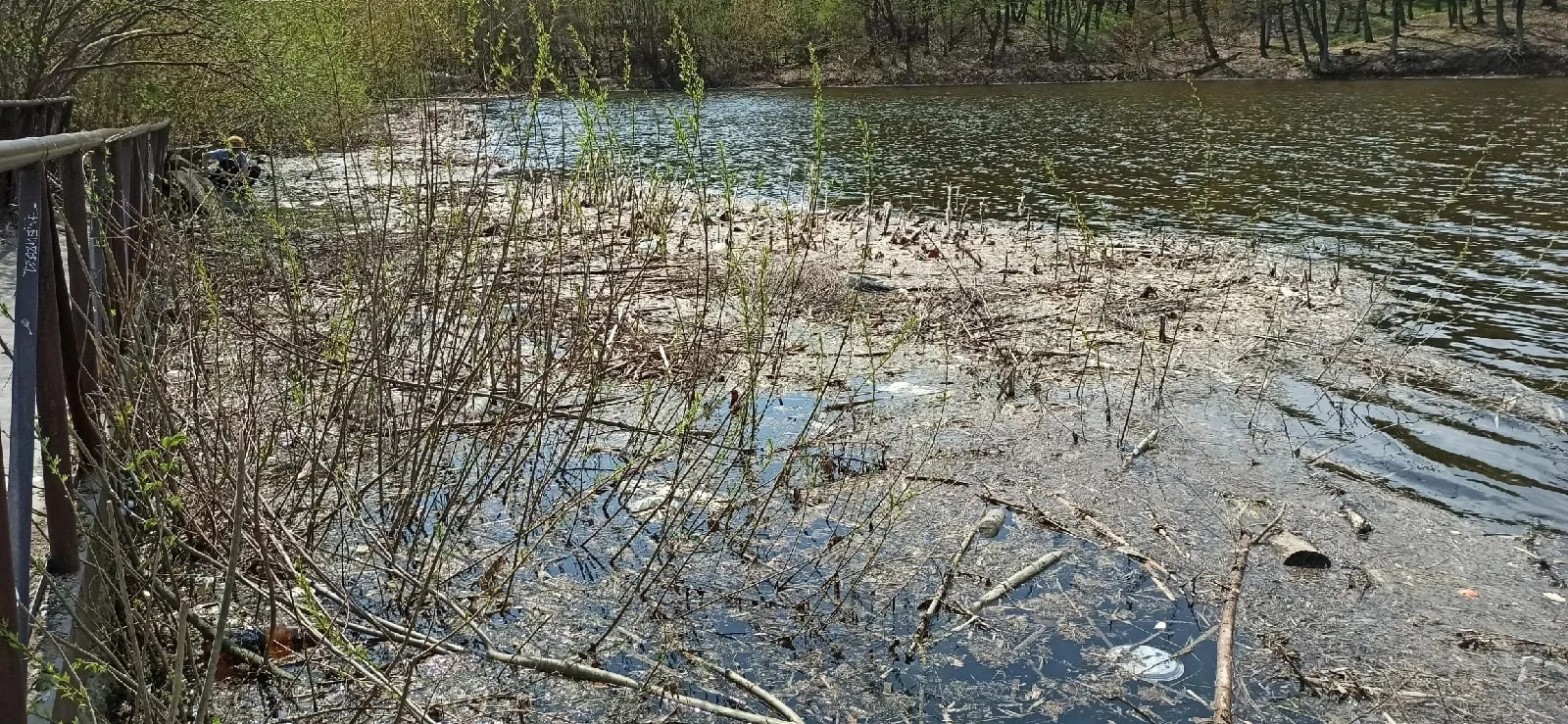 Водоем, созданный в 50-х годах, начали восстанавливать в Самарской области