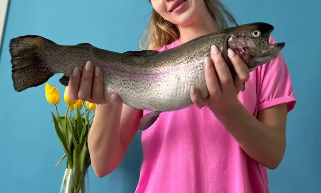 Как солить красную рыбу: каменная соль и полотенце — Божественный новогодний деликатес на столе