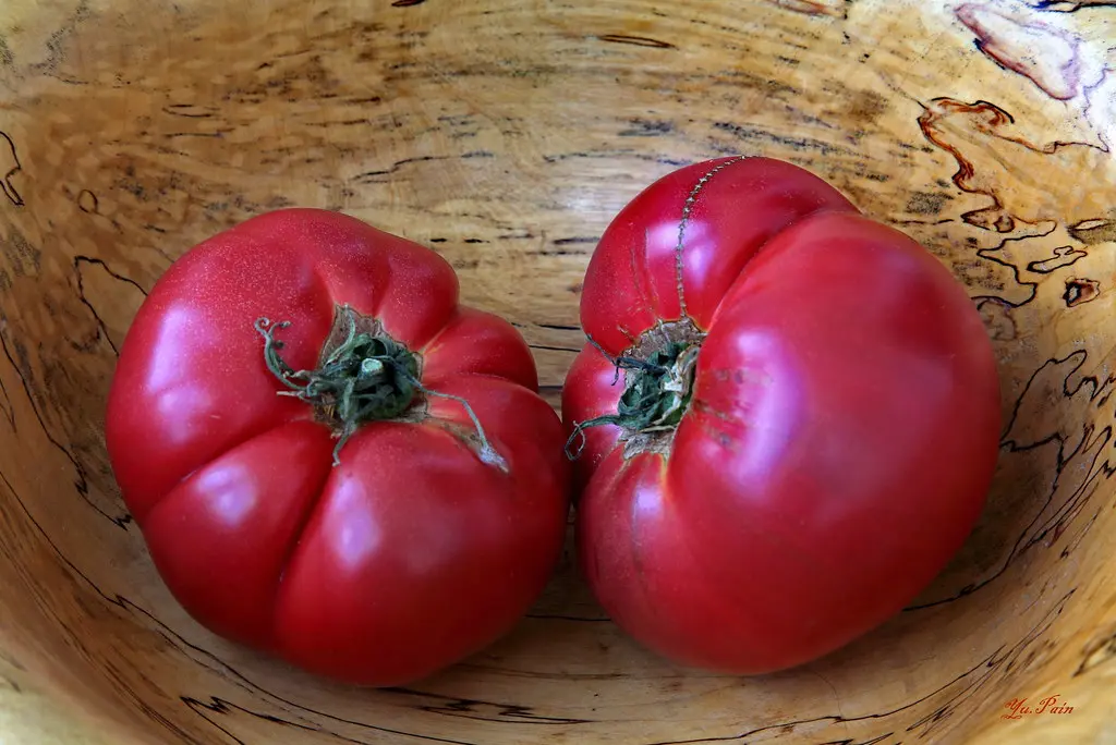 Эти семена сладких помидоров дачники скупают с января — рост плодов до 800 граммов