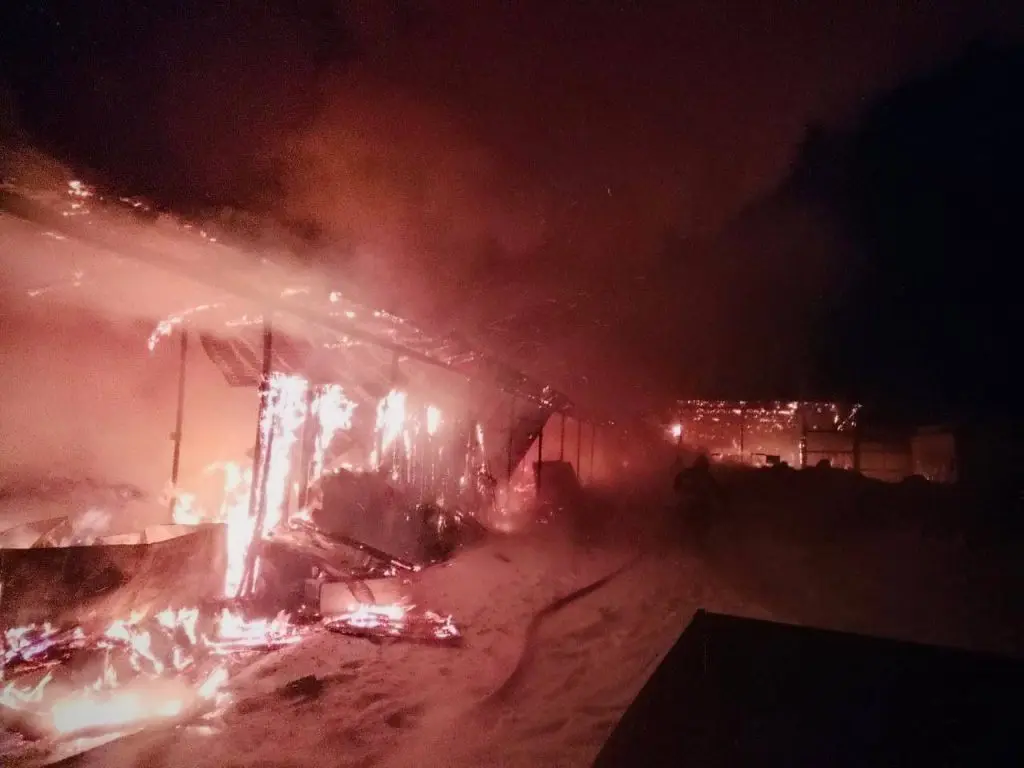 Овцы, курицы и козы могут подвергнуться опасности в результате мощного пожара на ферме в Самарской области