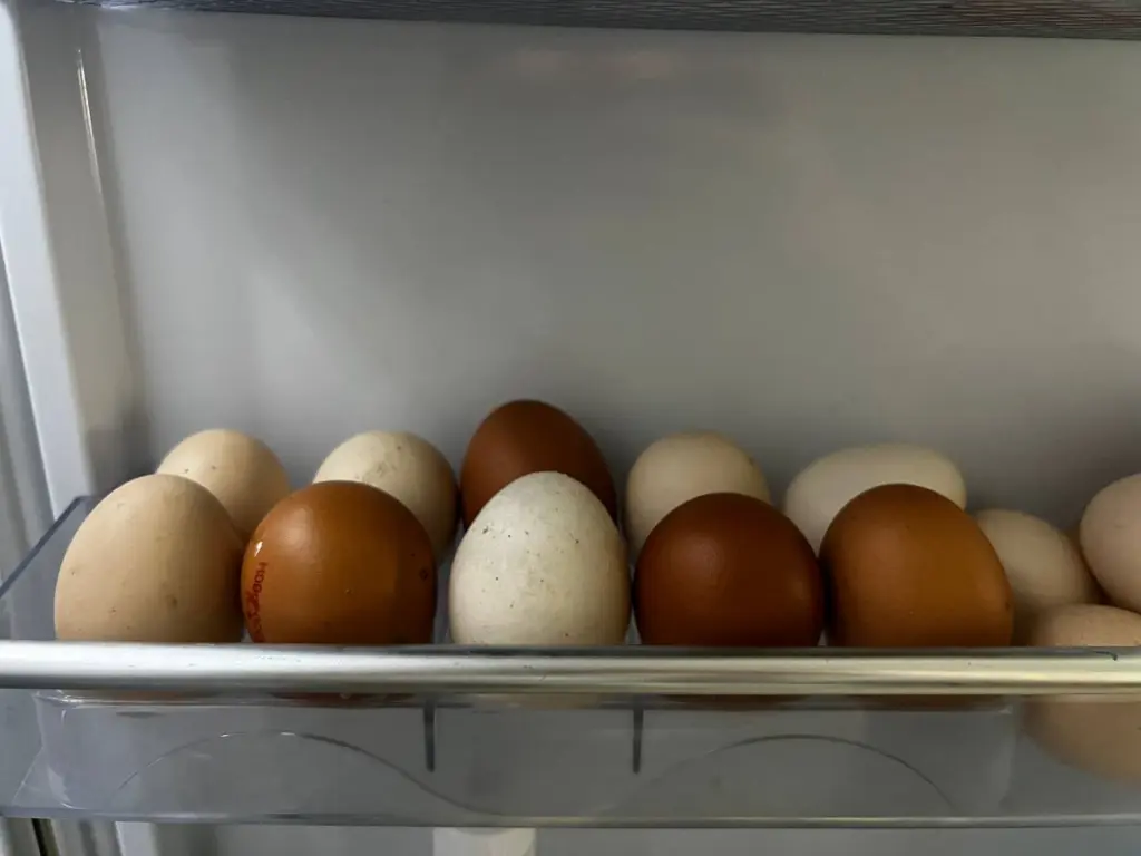 И в пир, и в мир: 1 кулинарная фишка превращает обычные яйца в деликатес — лучший вариант для завтрака