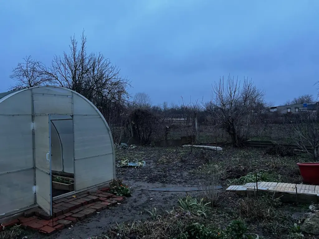 Дачники, 3 горсти в январе: Почва стала в разы мягче гагачьего пера — и бесплатно