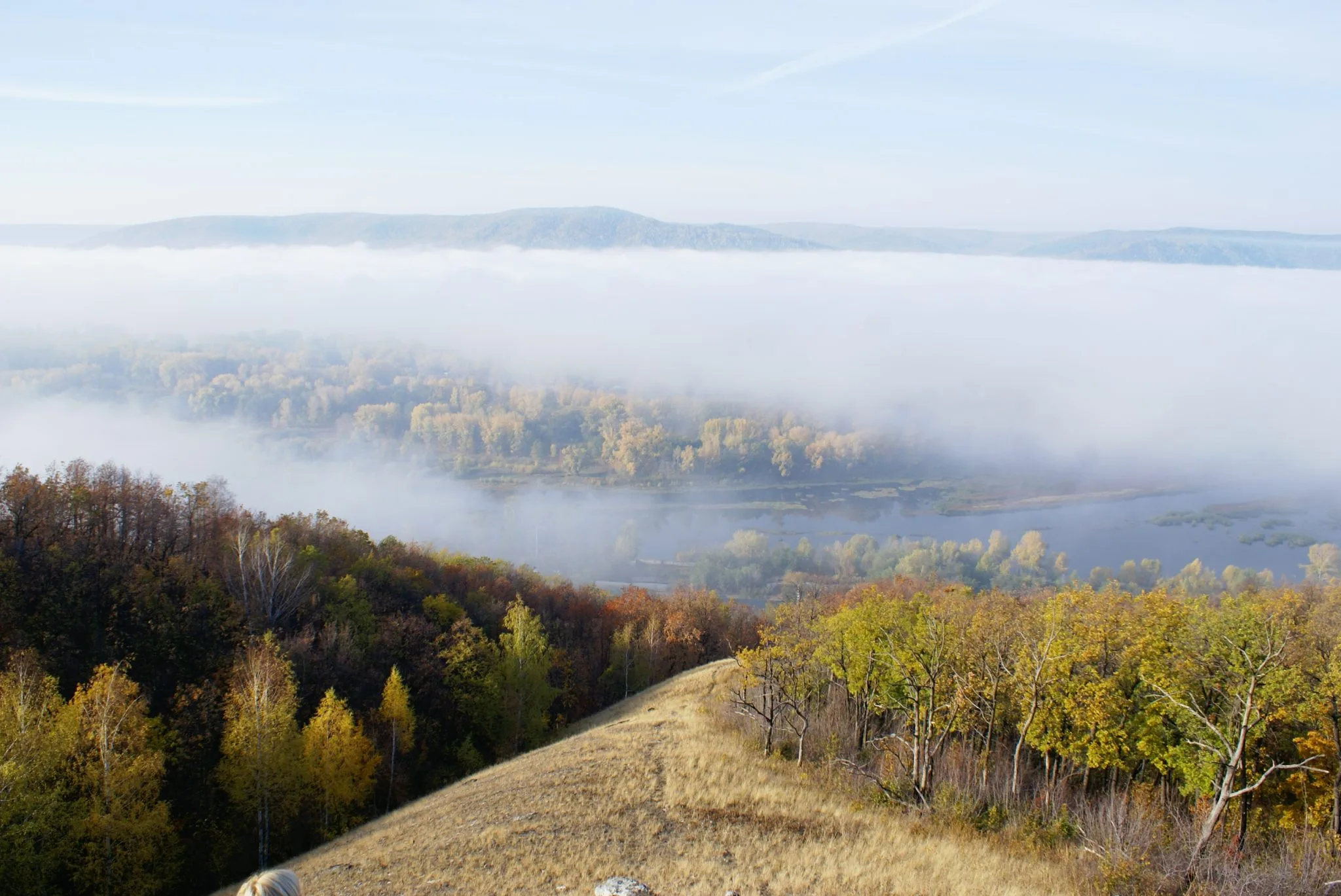 Почти 2 млн рублей штрафов выписали за ущерб лесам Самарской области Почти 2 млн рублей штрафов выписали за ущерб лесам Самарской области