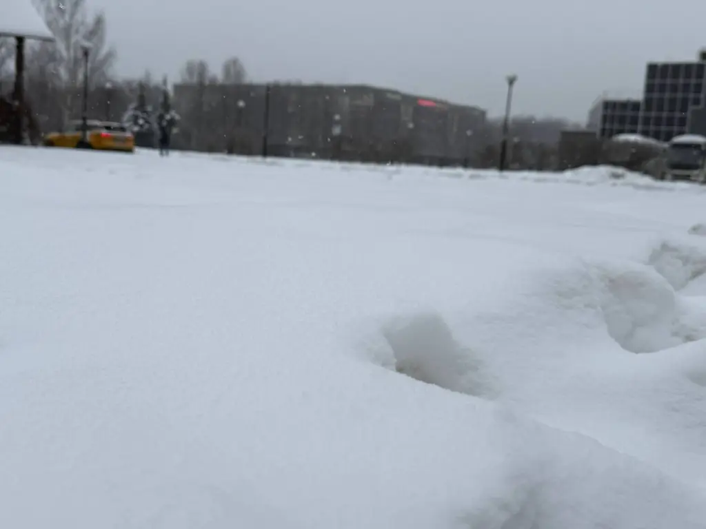 «Февраль и март будут самыми необычными в XXI веке». Синоптики сказали, к чему готовиться