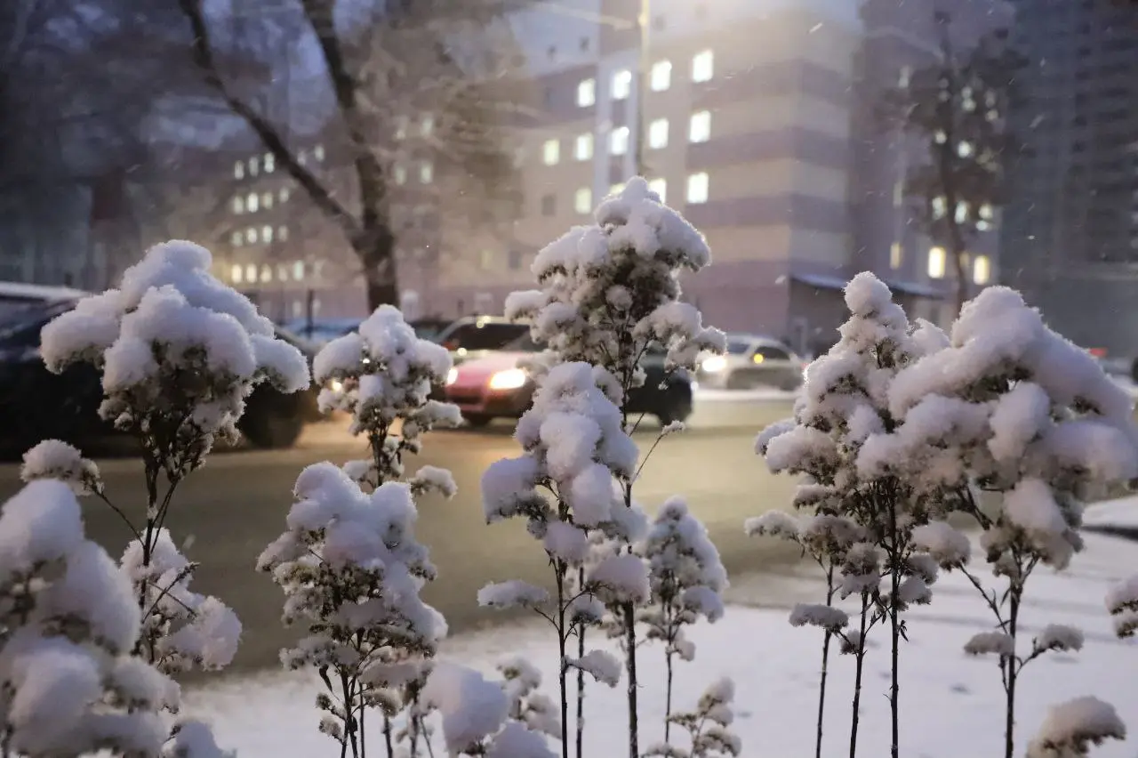 Средиземноморский фронт принес тепло в Самарскую область Средиземноморский фронт принес тепло в Самарскую область