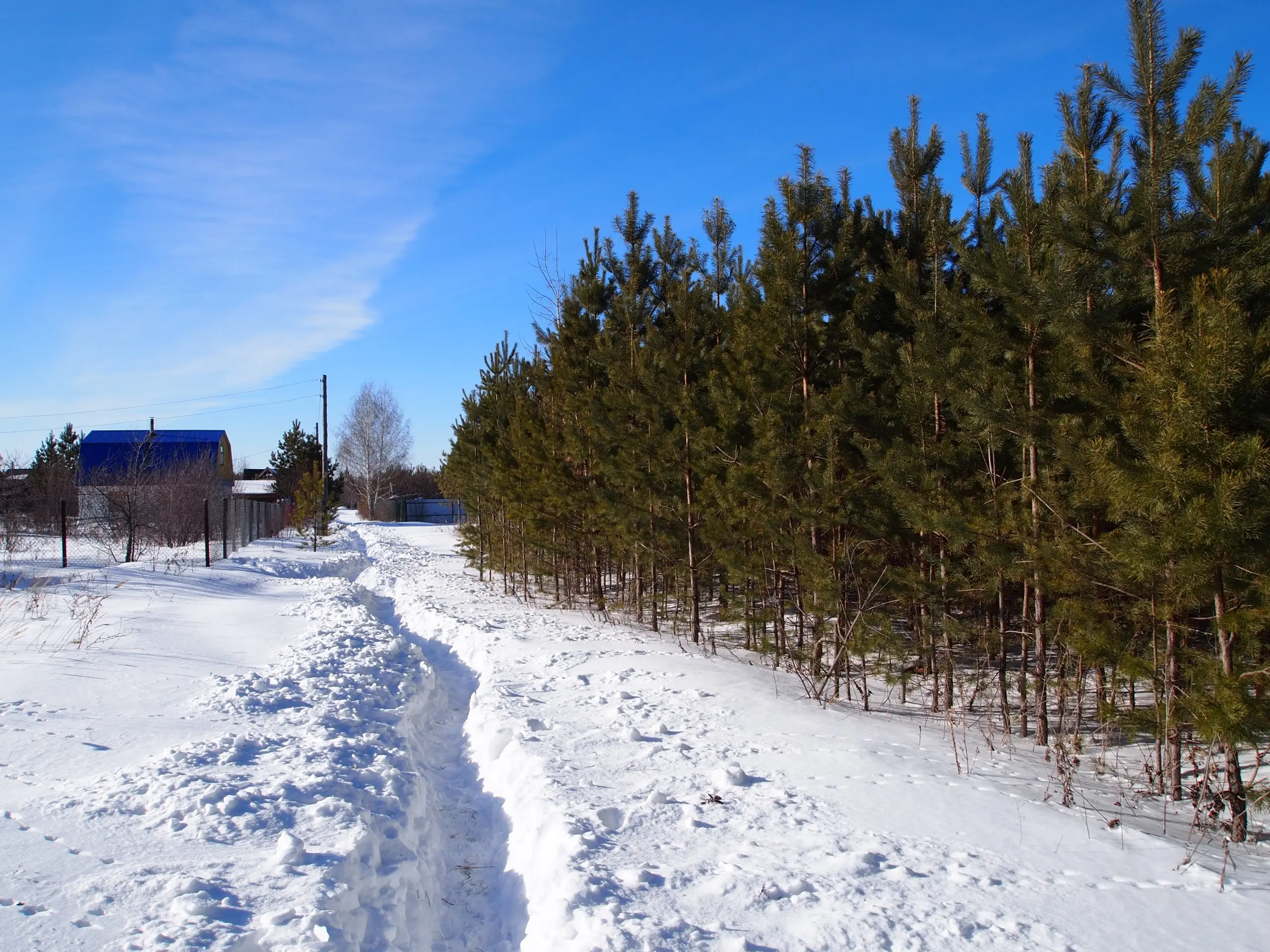 По зимнему расписанию. Что необходимо сделать на участке в январе и феврале По зимнему расписанию. Что необходимо сделать на участке в январе и феврале