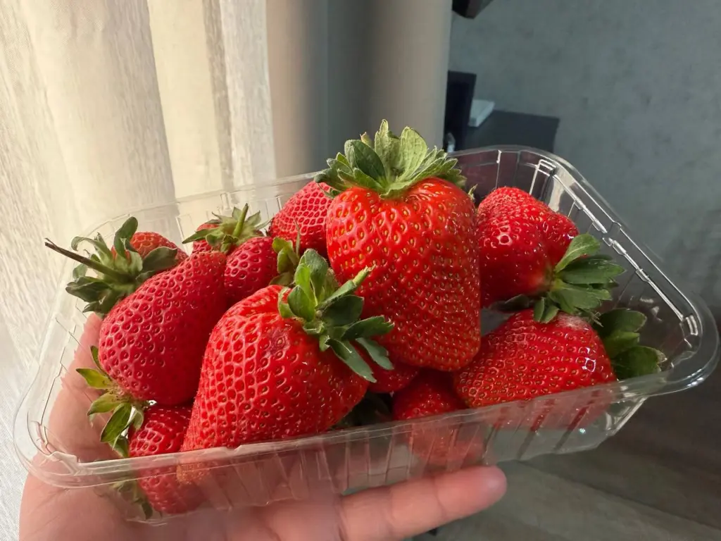 Сыплю 2 горсти зимой под клубнику прямо по снегу: Летом всегда ем сладкие ягоды размером с яблоко