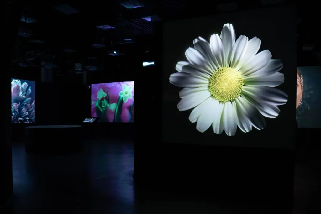 Т2 вступает в область цифрового искусства: какую роль играют медиахудожники и нейросети для оператора связи