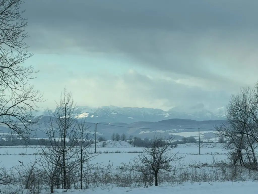 Новое «арктическое вторжение» и затяжная весна: синоптик Шувалов обновил прогноз для Центральной России — к чему готовиться