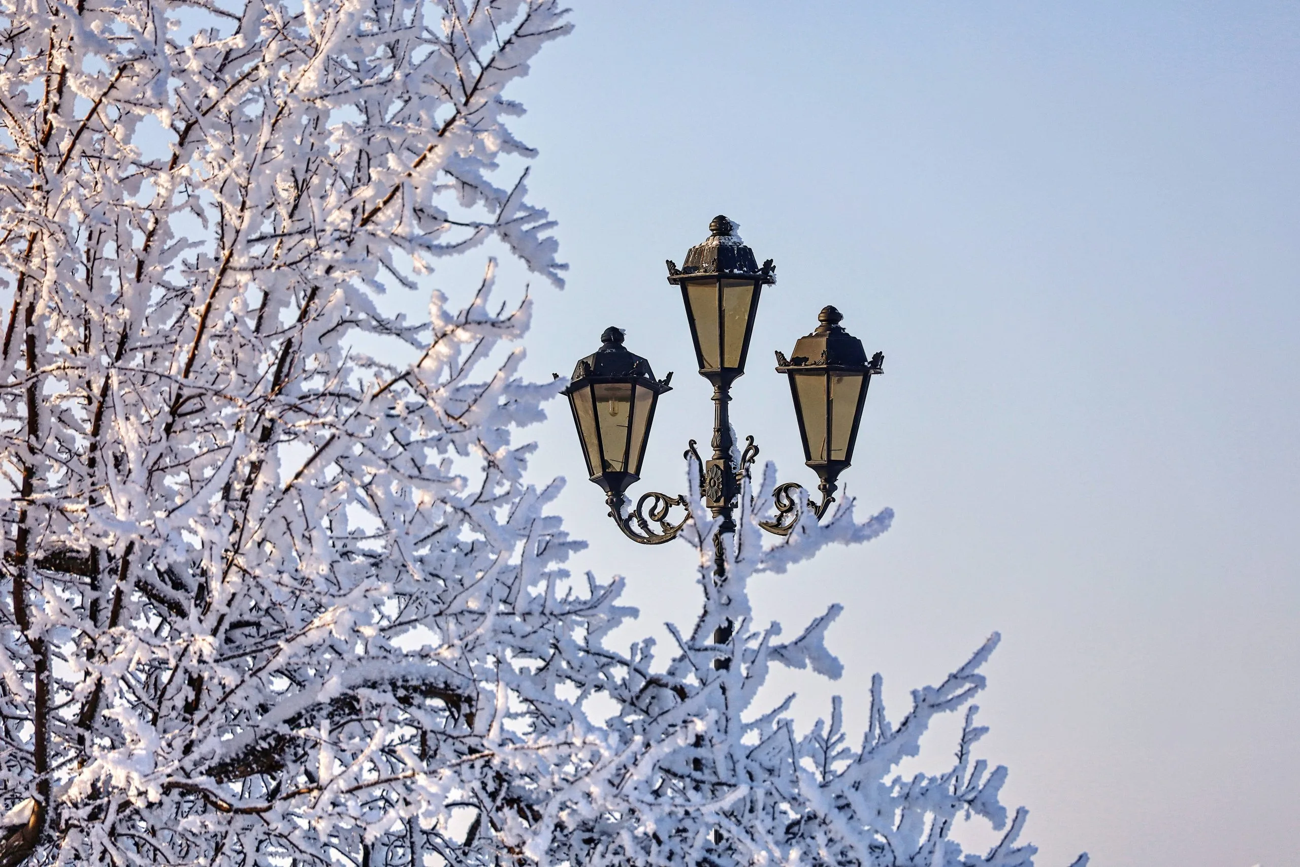 Народные приметы на 11 февраля: предсказания погоды, что можно делать и нельзя Народные приметы на 11 февраля: предсказания погоды, что можно делать и нельзя