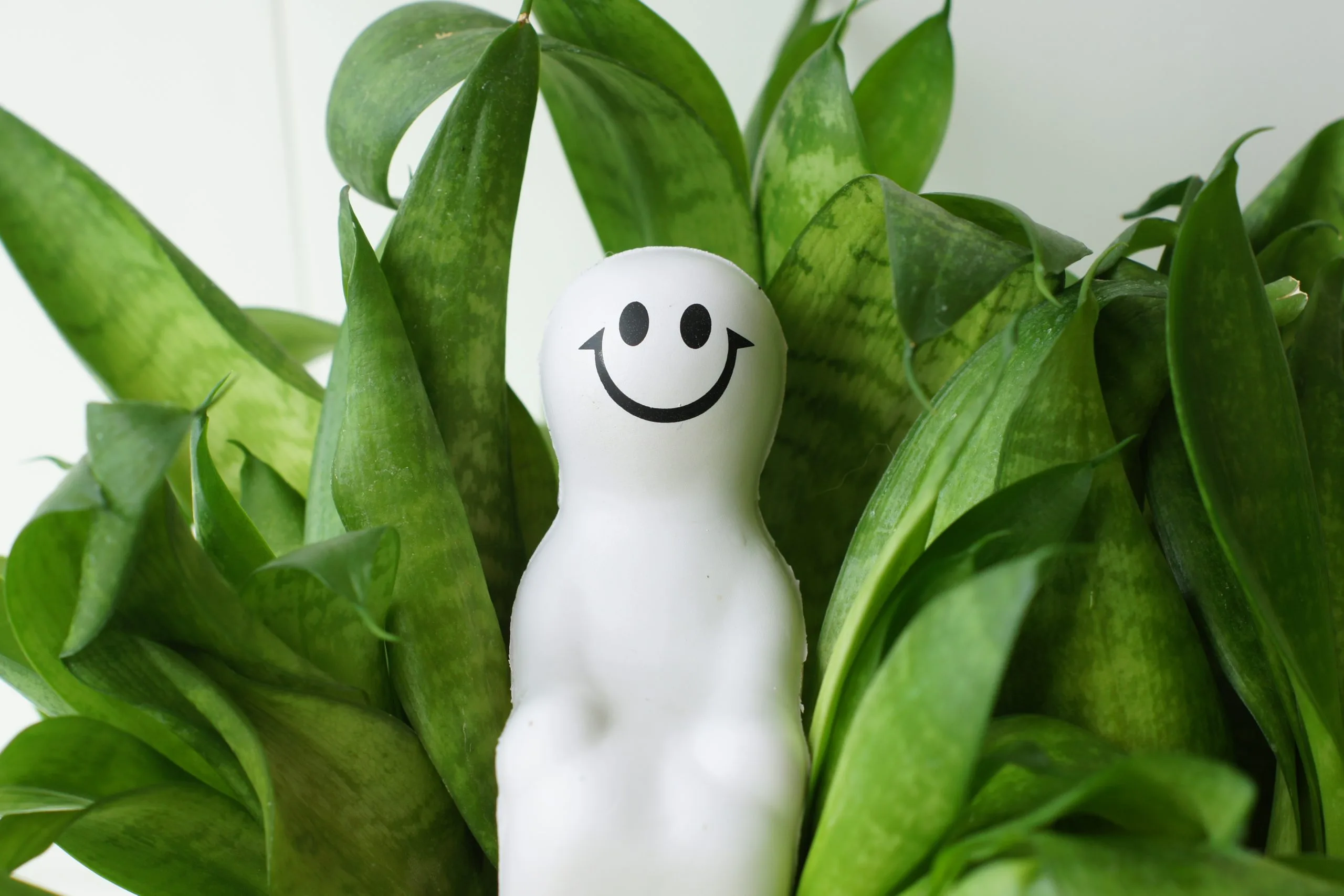 Новые экопункты, где вторсырье можно обменять на деньги, открылись в Самаре Новые экопункты, где вторсырье можно обменять на деньги, открылись в Самаре