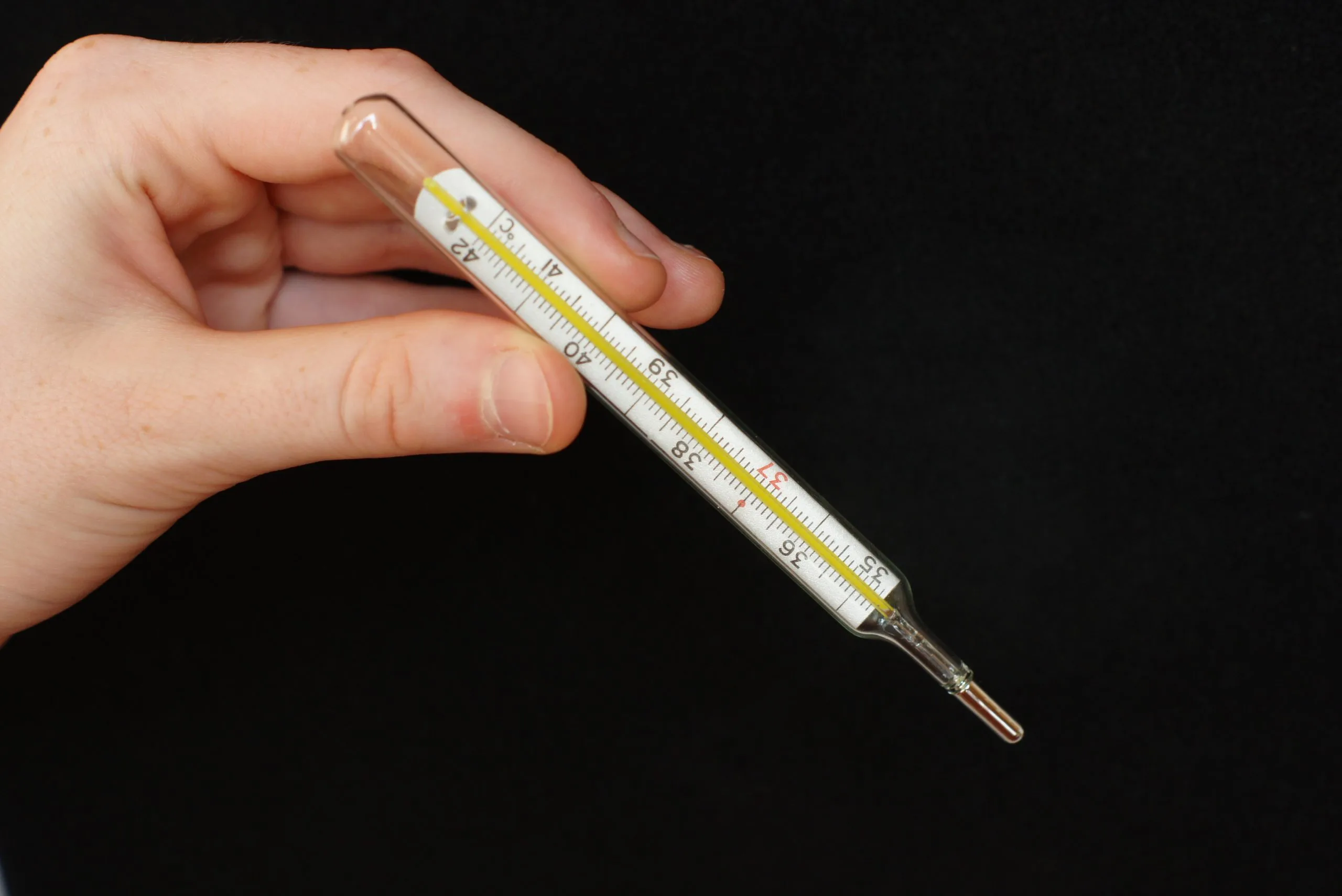 Жители Самарской области смогут работать удаленно во время болезни Жители Самарской области смогут работать удаленно во время болезни