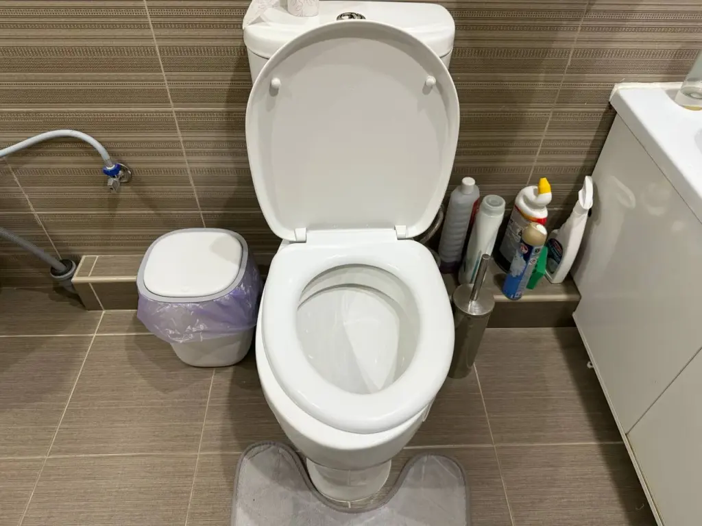 Ходить в туалет на унитаз стало не модно: новый туалетный тренд скоро дойдет и до России